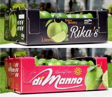 Rikas and diManno Brands
